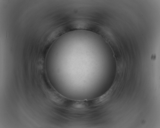 X0000092310175200709281353