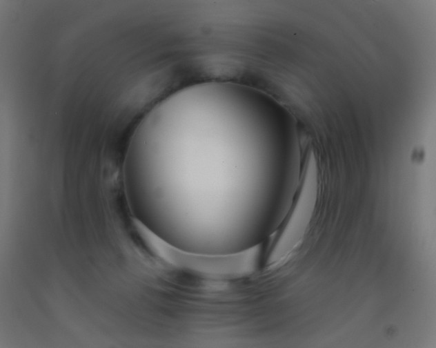 X0000092310176200709281353