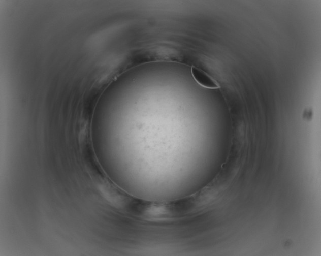 X0000092310177200709281353