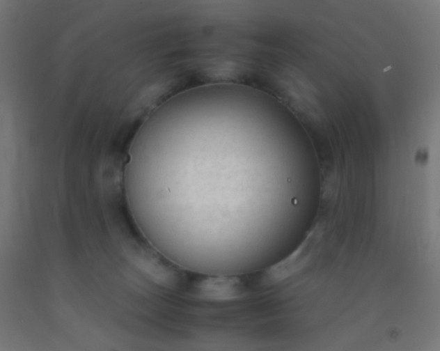 X0000092310179200709281353