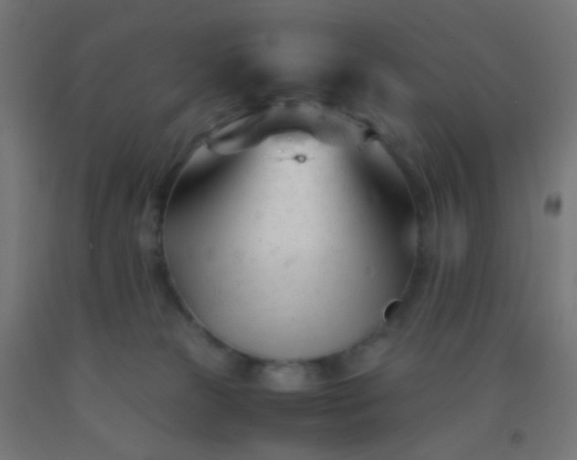 X0000092310181200709281353