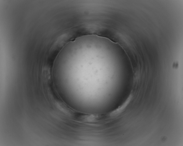 X0000092310182200709281353
