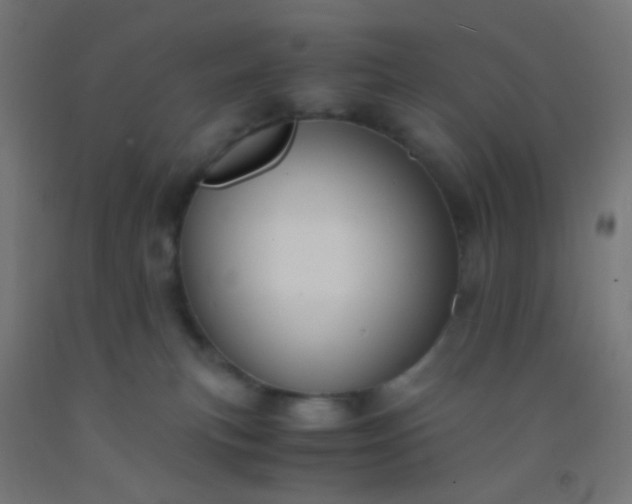 X0000092310183200709281353