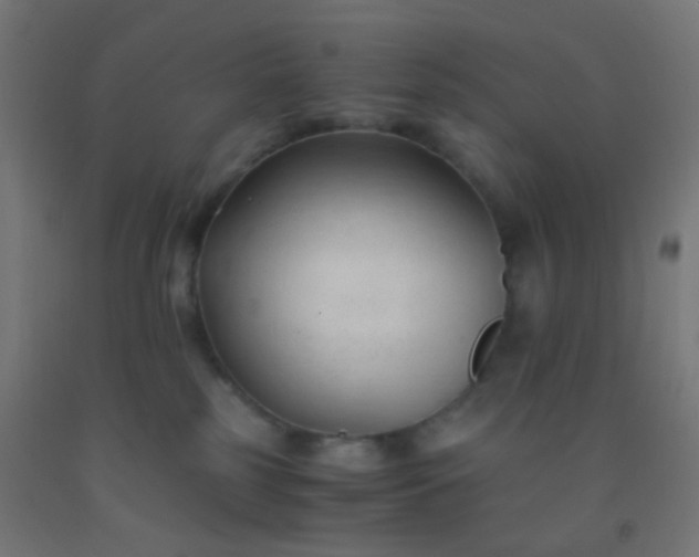 X0000092310185200709281353