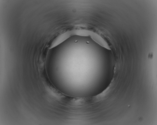 X0000092310186200709281353