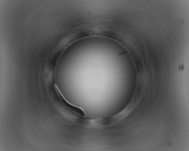 X0000092310188200709281353