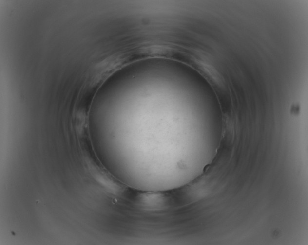 X0000092310189200709281353