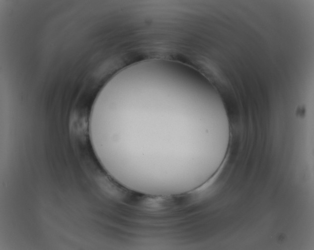 X0000092310190200709281353