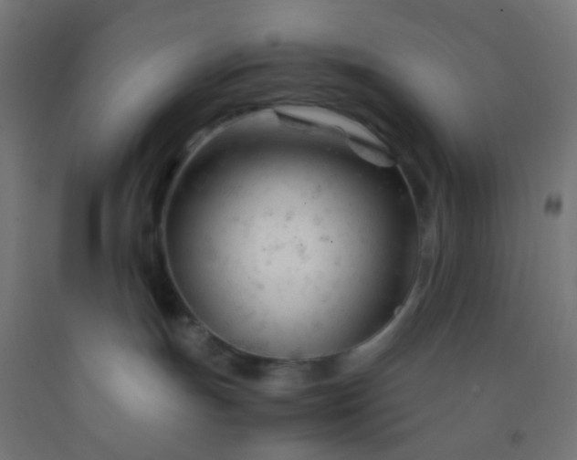 X0000092310191200709281353