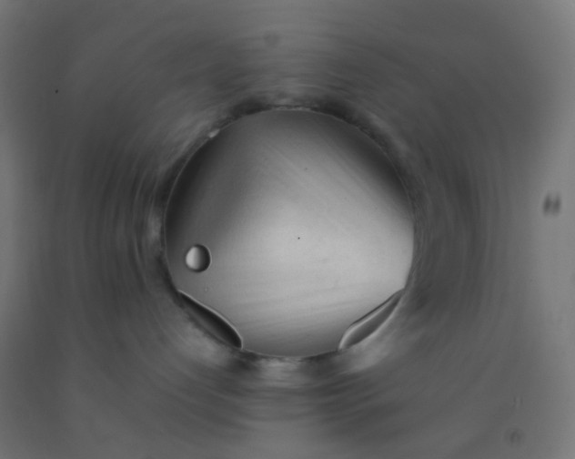X0000092310192200709281353