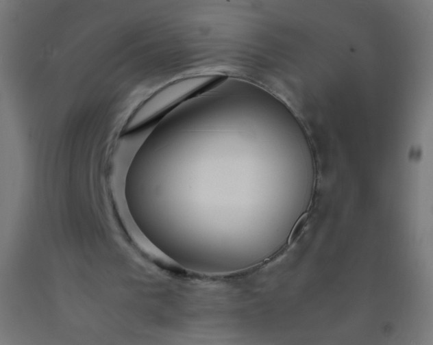 X0000092310193200709281353