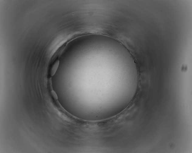 X0000092310194200709281353