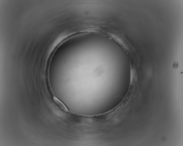 X0000092310195200709281353