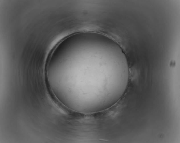 X0000092310196200709281353