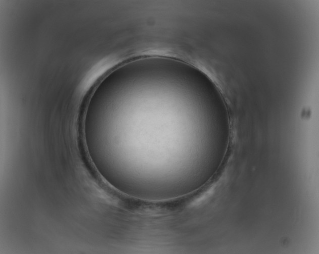 X0000092310199200709281353
