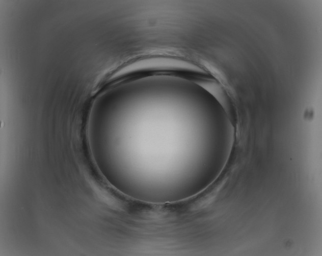 X0000092310201200709281353