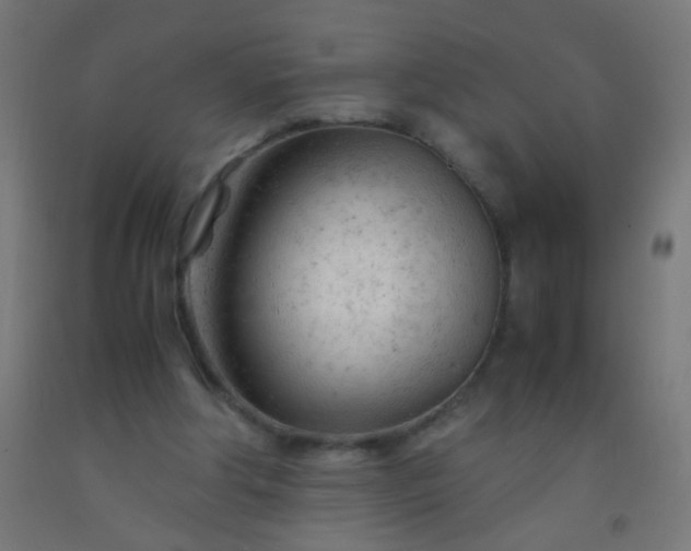 X0000092310202200709281353