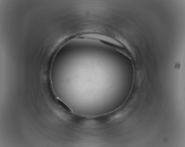 X0000092310203200709281353
