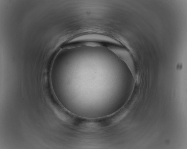 X0000092310205200709281353