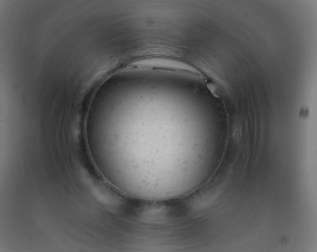 X0000092310206200709281353