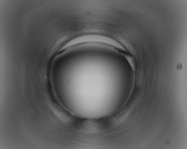 X0000092310207200709281353