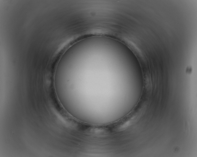 X0000092310208200709281353