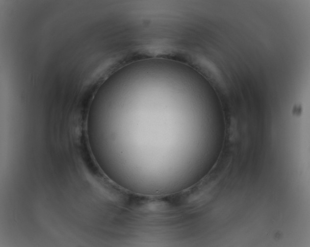 X0000092310210200709281353