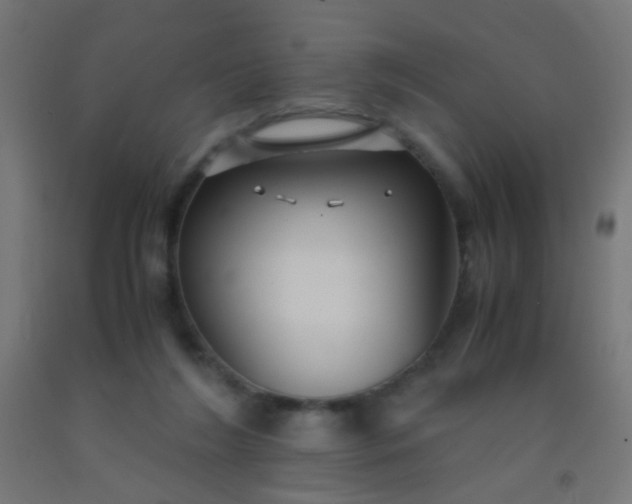 X0000092310212200709281353