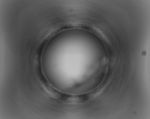 X0000092310213200709281353