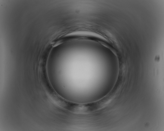 X0000092310217200709281352