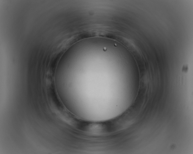 X0000092310218200709281352