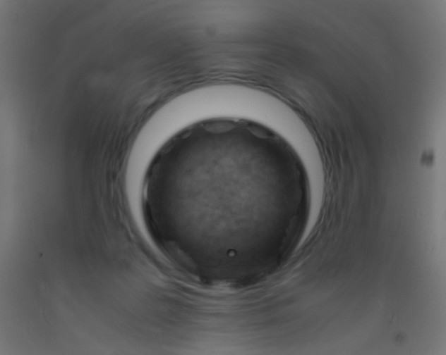 X0000092310219200709281352