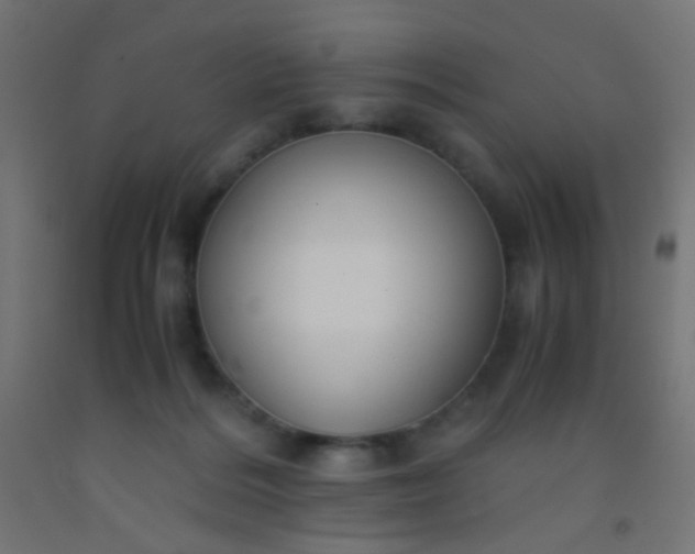 X0000092310220200709281352