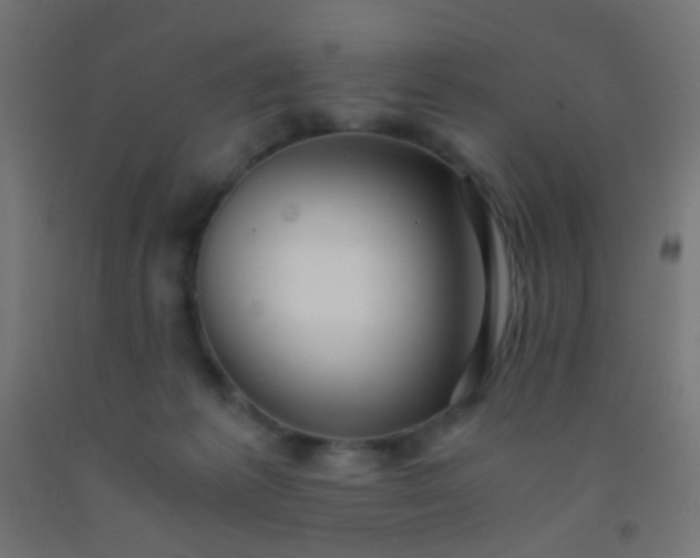 X0000092310221200709281352