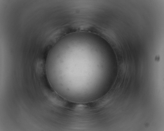 X0000092310222200709281352