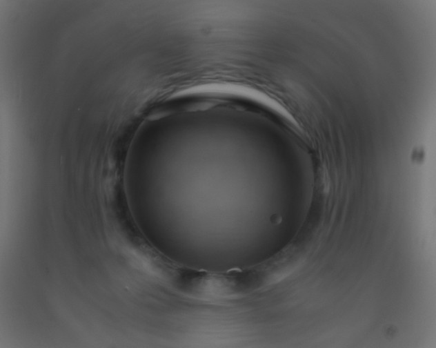 X0000092310223200709281352