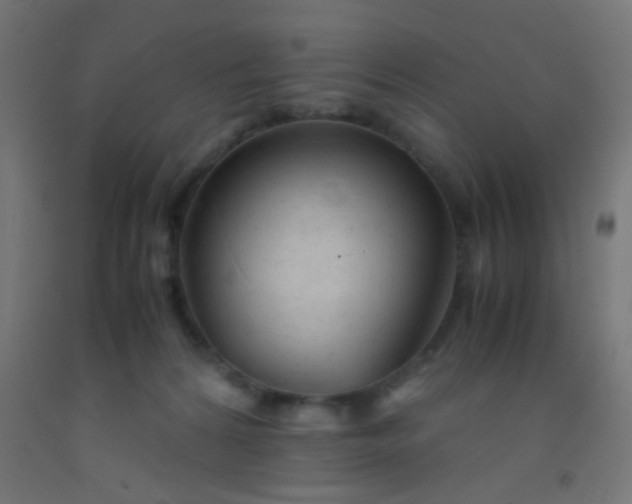 X0000092310224200709281352