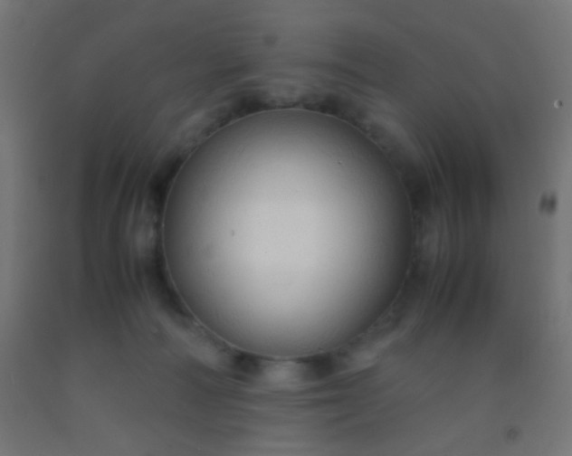 X0000092310226200709281352
