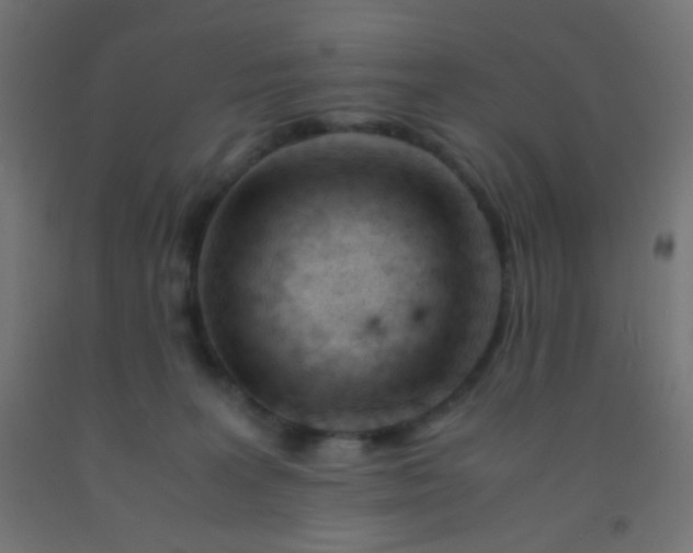 X0000092310227200709281352