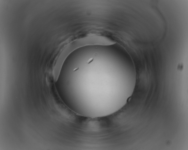 X0000092310228200709281352
