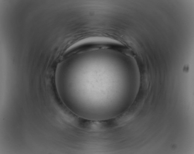 X0000092310229200709281352