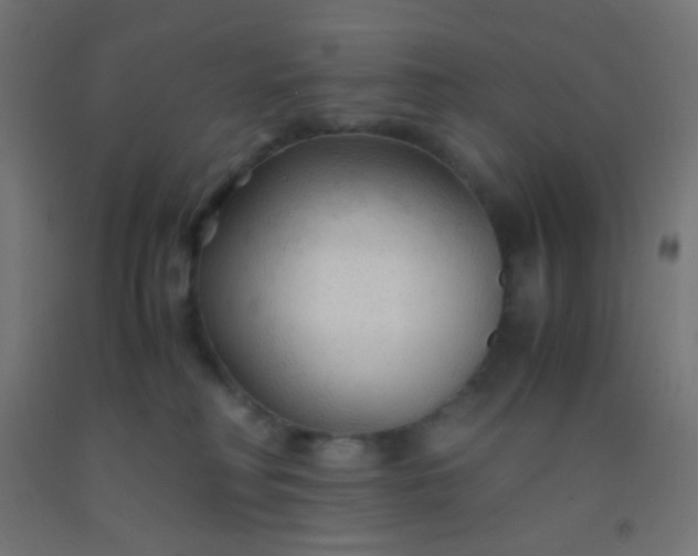 X0000092310230200709281352