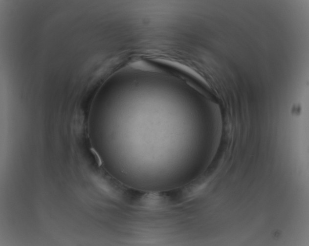 X0000092310231200709281352