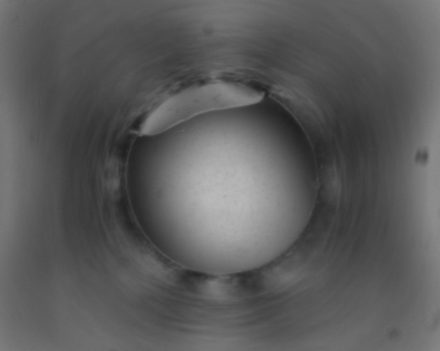 X0000092310232200709281352