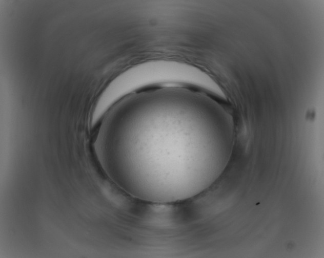 X0000092310233200709281352