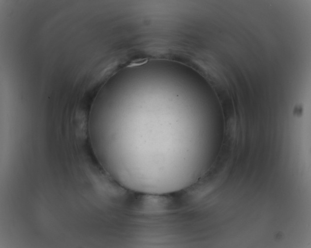 X0000092310234200709281352
