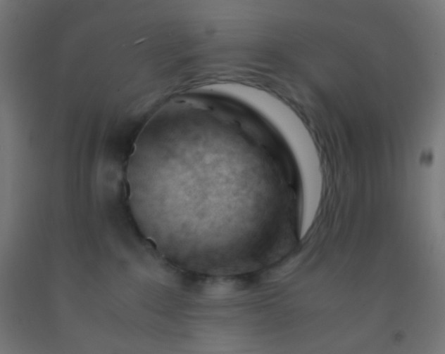 X0000092310235200709281352