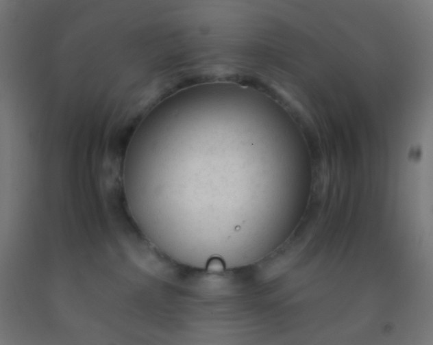 X0000092310236200709281352