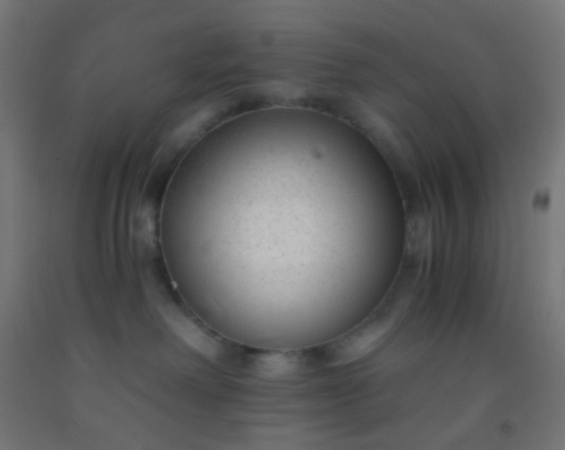 X0000092310238200709281352