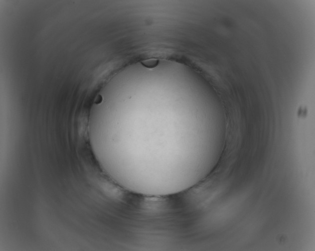 X0000092310240200709281352